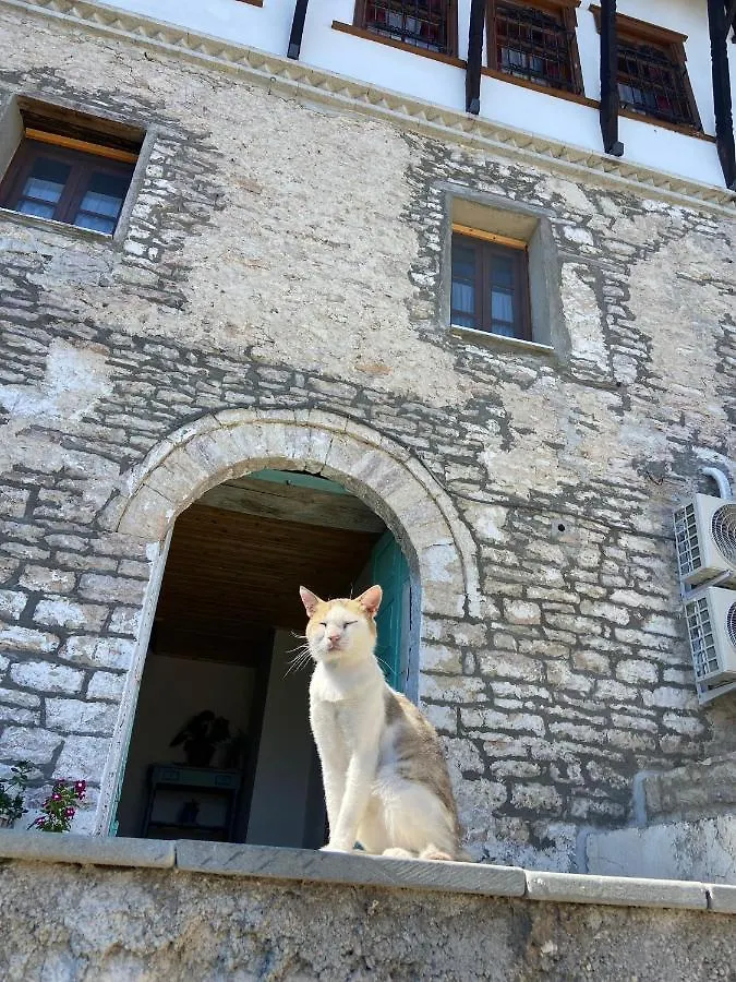 Melodia - Harmony Heaven Apartment Gjirokaster